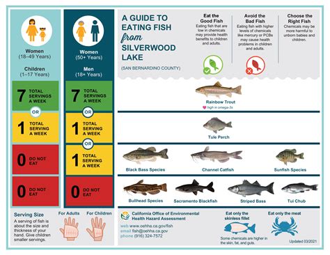 Fishing Regulations and Licensing in Victoria.